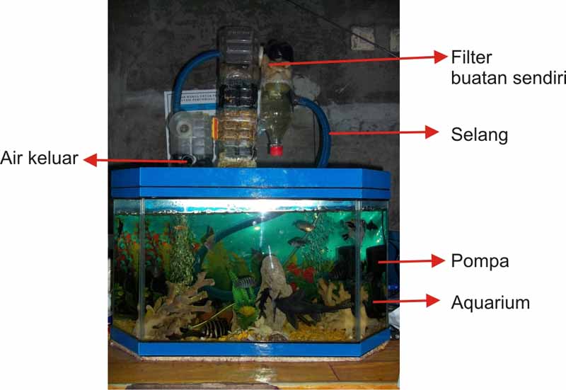 merakit filter aquarium