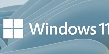 Download Windows 11 64-Bit 2023 free dari Google Drive