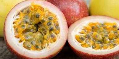 Buah Marqisa: Sejarah, Cara Tanam, dan Manfaatnya