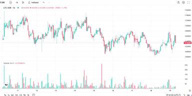 Prediksi harga tertinggi dan terendah Litecoin besuk selasa 20-26 Mei 2025