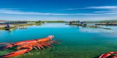 Tambak Lobster 2026 Bergerak ke Sistem Benih Tertelusur