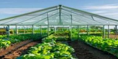 Smart Greenhouse Mini 2026 Diserbu, Sayur Daun Masuk Fase Baru