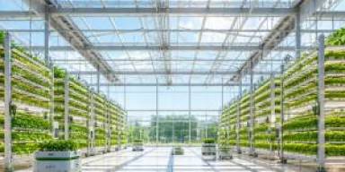 Metode Hidroponik Vertikultur LED Kuasai Urban Farming September 2026