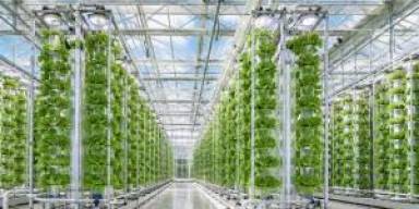 Inovasi Aeroponik Kabut Nano: Solusi Pertanian Lahan Sempit 2026